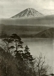Fuji keskikokoisesta nocler-selkärangasta, 1910.