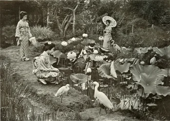 Lotus-Landissa, 1910.