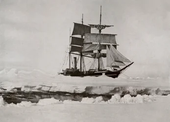 Pakkauksessa - A Lead Opening Up, c19101913, 1913