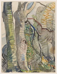 metsäinen maisema