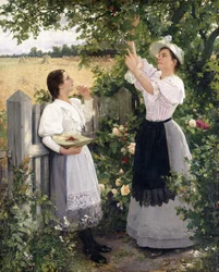 Kirsikkapoimijat, 1894