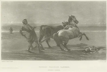 Odysseus teeskentelee hulluutta (syväpaino)