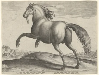 Hevonen Espanjasta (Hispanus Alter) Hispanvs (otsikko objektissa) Hevosrodut Itävallan Don Juanin kuninkaallisilta tallilta (sarjan nimi) Equile Ioannis Austriaci Caroli (sarjan nimi)