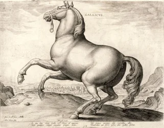 Gallicus sarjasta Hevoset Itävallan Don Juanin tallilta (kaiverrus kudoksiin)