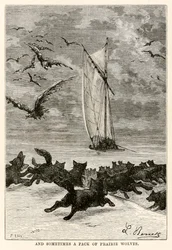 Ja joskus lauma preeriasusia, Jules Vernen (1828-1905) Ympäri maailmaa kahdeksassakymmenessä päivässä, Louisin kaivertama, 1873