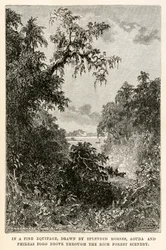 Hienoissa, loistavien hevosten vetämissä vaunuissa Aouda ja Phileas Fogg ajoivat läpi rikkaiden metsämaisemien, Jules Vernen (1828-1905) teoksesta Maailman ympäri kahdeksassakymmenessä päivässä, kaivertaja Henri-Théophile