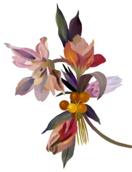 Kuvitteellinen kukka, joka perustuu tulppaaniin.