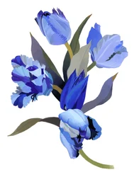 Sininen tulppaani