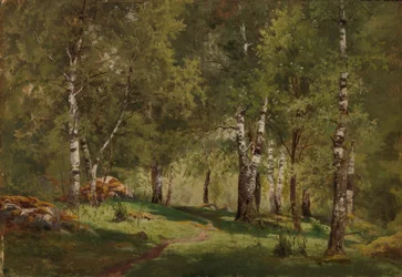 Koivulehdon sisäosa