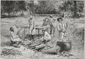 A Southern Barbecue, kuvitus Harper
