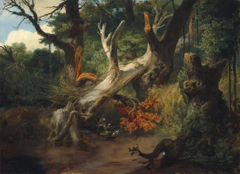 Metsästys Pontinen suoalueilla