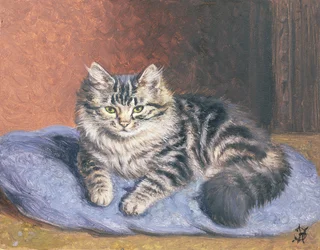 Sininen tyyny