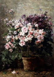 Kukkien koostumus. Hubert Bellisin (1831-1902 Belgia) maalaus Yksityiskokoelma.