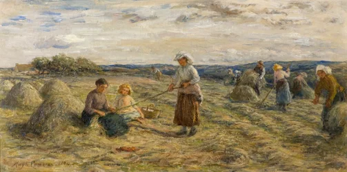 Heinänteko