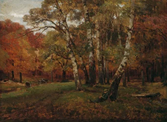 Maisema koivuilla