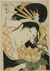 Kurtisaani Somenosuke Matsubayasta
