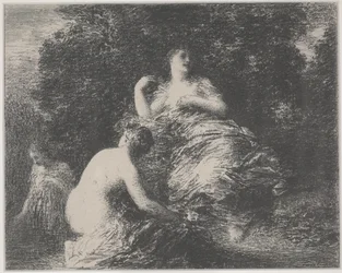 Uimarit