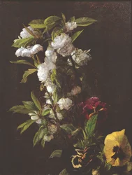 Kukat, 1876
