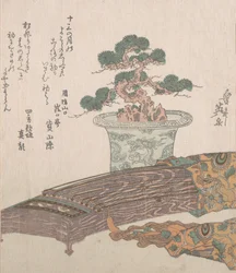 Ruukkumänty ja Koton japanilainen harppu, 1800-luku.