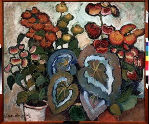 Begoniat. Peinture de Ilja Ivanovich Mashkov (Ilja Machkov, Matchkov) (1881-1944), huile herra toile