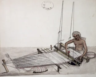 AS10 Vol.52 f5 4904 cat.201 i-iv Weaver kangaspuussa, Bombay, n.1873 (akvarelli paperille)