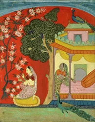 Kukkia poimiva nainen, Etelä-Rajasthan tai Deccan, n. 1675