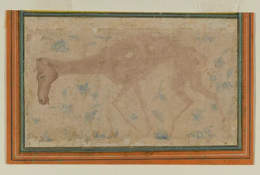 Laihtunut hevonen, Mughalista tai Deccanista, 1600-luvun puoliväli (muste ja väripesu paperille)