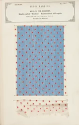 Bootee-musliininäyte brodeerattu täplillä Bengalin Daccasta, kokoelmasta The Collection of the Textile Manufacturers of India, John Forbes Watson, julkaistiin vuonna 1866