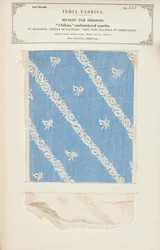 Chikan-kirjailtu musliininäyte Daccasta Bengalista, kokoelmasta The Collection of the Textile Manufacturers of India, John Forbes Watson, julkaistiin vuonna 1866