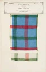 Värillinen shekkimusliininäyte Arneesta Madrasista, kokoelmasta The Collection of the Textile Manufacturers of India, kirjoittanut John Forbes Watson, julkaistu vuonna 1866