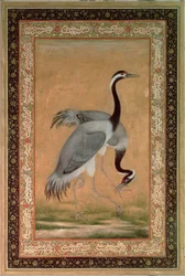 Mansurin kurjet, Jahangirin kausi, Mogulien aika