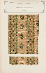 Kulta- ja kovakuoriaiskirjontanäyte Madrasista, John Forbes Watsonin kokoelmasta The Collection of the Textile Manufacturers of India, julkaistu vuonna 1866 (sekoitettu media)