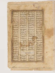 Majnun kamelin selässä
