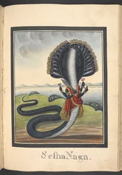 Sesha, käärme, jonka päällä Vishnu makaa, -