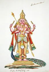 Skanda (wc paperilla)
