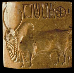 Seebuhärkää ja Indus-kirjoitusta esittävä sinetti, löydetty Mohenjo-Darosta Induslaaksosta, 3. vuosituhat eKr.