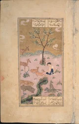 Majnun autiomaassa, 1431