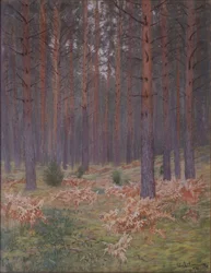 Saniaiset, 1894