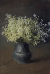 Villit orvokit ja unohtumattomat, 1889