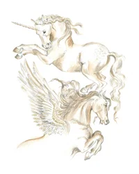 Yksisarvinen ja Pegasos
