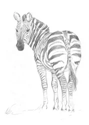 Seepra