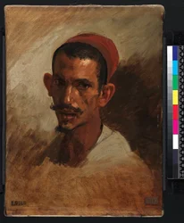 Opiskelu nuoren arabien päälle, 1860-1862