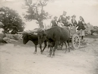 Perhe härän vetämissä kärryissä, Sardinia, Italia, n. 1910.