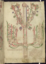 Corpus Christi Oxford MS 255A f.11r Puu, joka kuvaa Uuden testamentin raamatullisten henkilöiden sukututkimusta