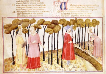 Dante ja Vergilius (70-19 eKr.) Kiirastulen huipulla, Dante Alighierin (1265-1321) jumalallisesta komediasta