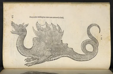 Etiopian lohikäärme "Käärme ja lohikäärme historian kirja kaksi", Bologna, Ulisse Aldrovandi