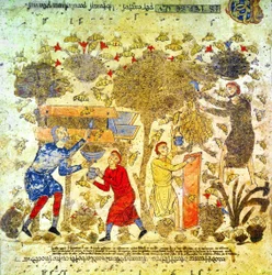 Hunajasato Italiassa 1100-luvulla