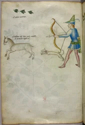 Kuvitus jousella eläintä ampuvasta miehestä, jonka yläpuolella on koira ja lintuja, noin 1440 (tussi ja väri pergamentille).