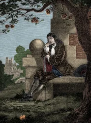 Isaac Newton tarkkailee omenan putoamista maahan istuessaan puun alla