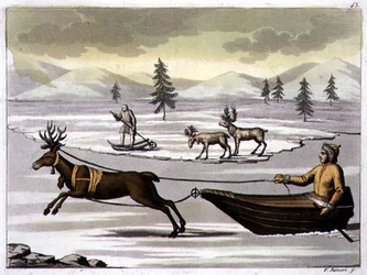 Uros- ja naarasporo sekä lappalainen poron vetämässä reessään, kuvalaatta 43 teoksesta 